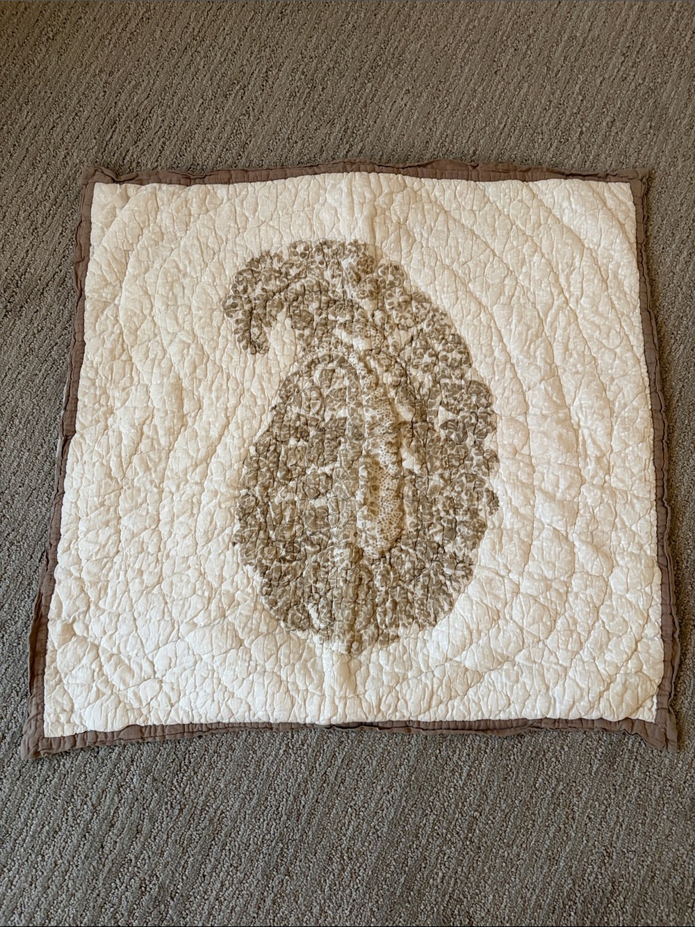 Pottery Barn Euro Sham